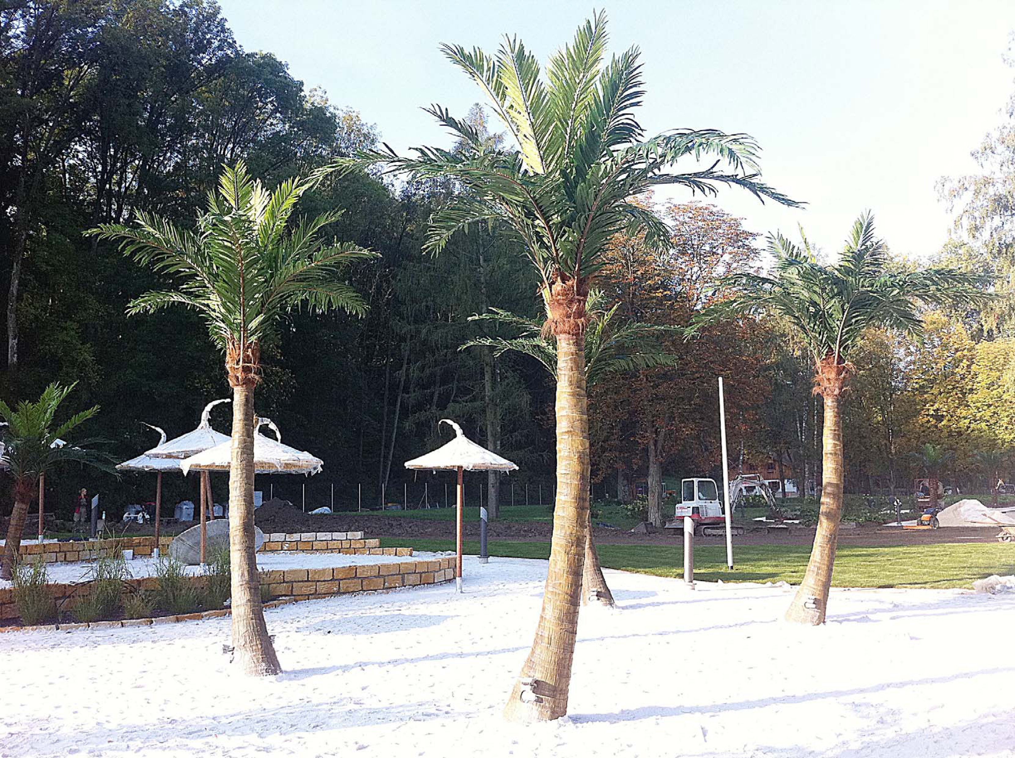 奧地利溫泉水療中心仿真棕櫚樹 奧地利溫泉水療中心仿真棕櫚樹