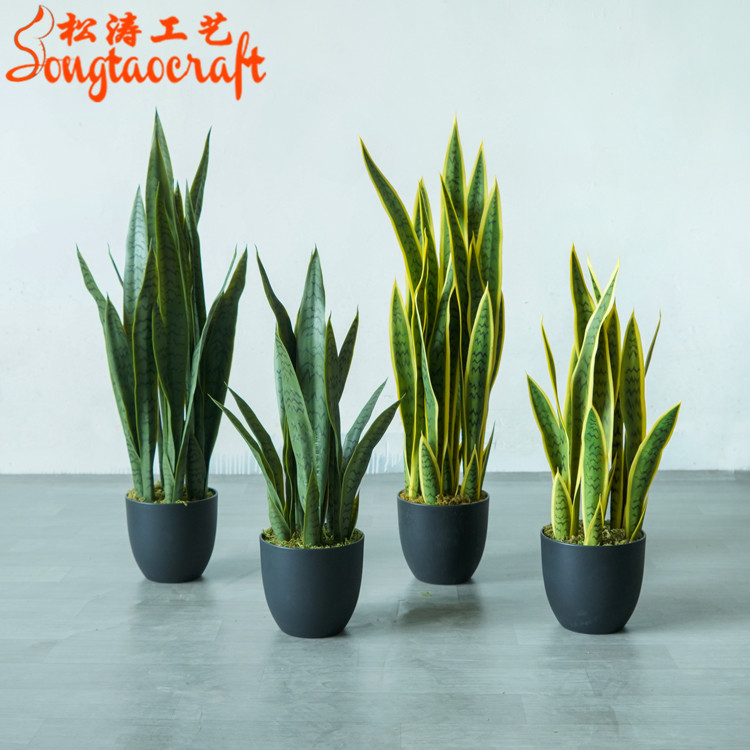 仿真虎皮蘭 仿真虎皮蘭