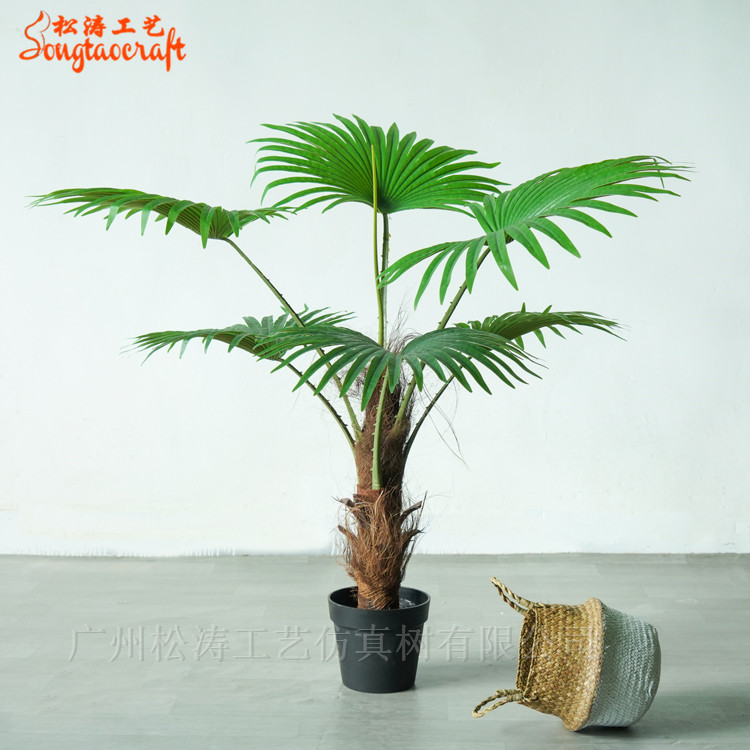 仿真手感葵樹(shù)