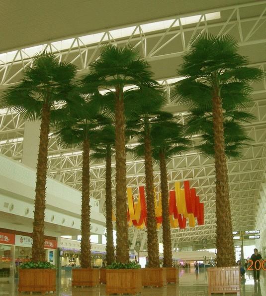 仿真棕櫚樹的制作方法和特點(diǎn)