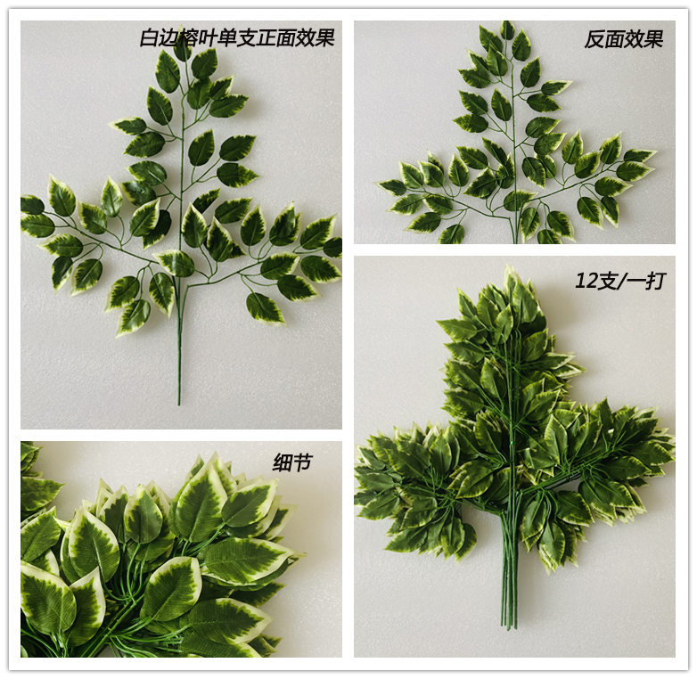 仿真白邊榕樹葉子 仿真白邊榕樹葉子