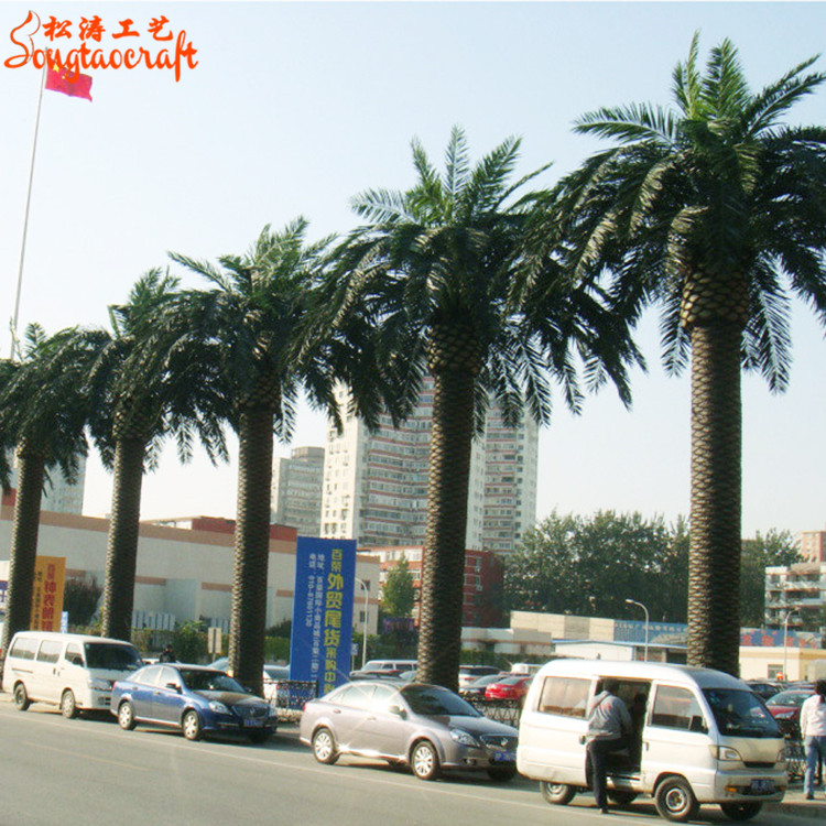 大型假海藻樹(shù)