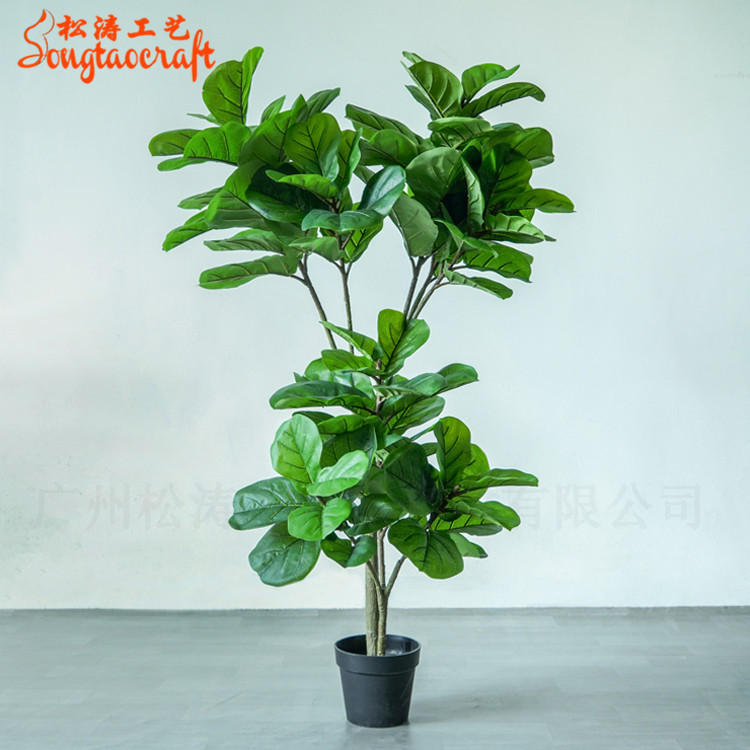 1.5m塑料桿假琴葉榕