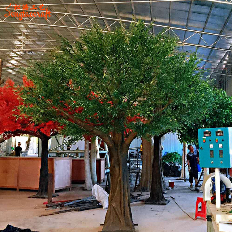 大型假橄欖樹