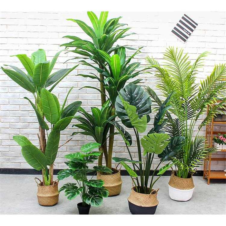 仿真植物應(yīng)該這樣合理使用 仿真植物應(yīng)該這樣合理使用