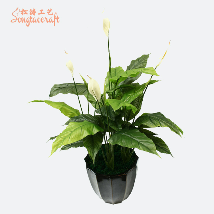 仿真白掌 仿真白掌