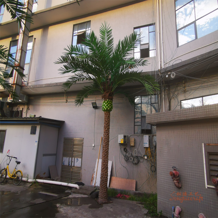 仿真樹：真棕櫚樹和仿真棕櫚樹的差異優(yōu)勢對比