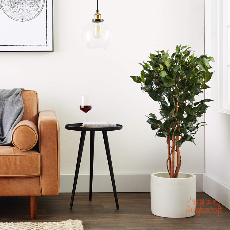 無(wú)須打理的仿真榕樹(shù)和真榕樹(shù)有哪些區(qū)別