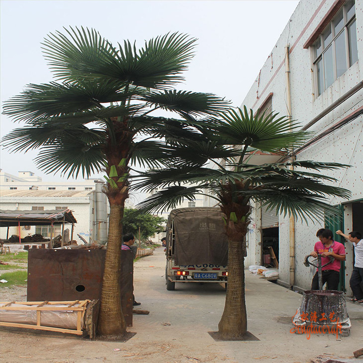  仿真蒲葵樹的擺放有什么講究呢？