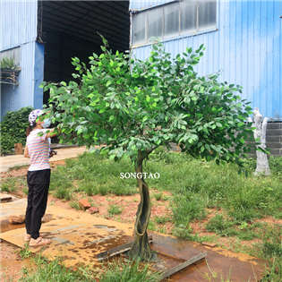 2.2米高仿真小型榕樹