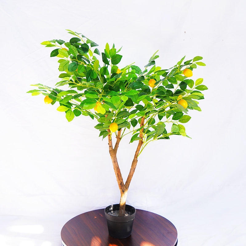 仿真檸檬樹(shù)